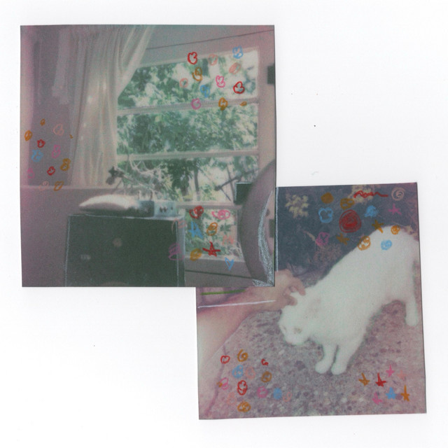 'cats' cover art