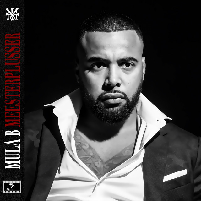 'Meesterplusser' cover art