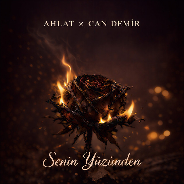 'Senin Yüzünden' cover art