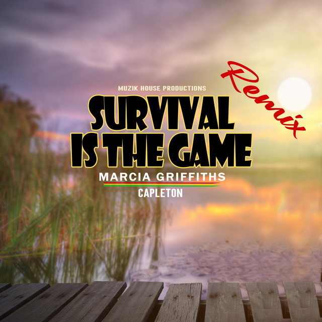 'Survival Is The Game (Remix)' cover art