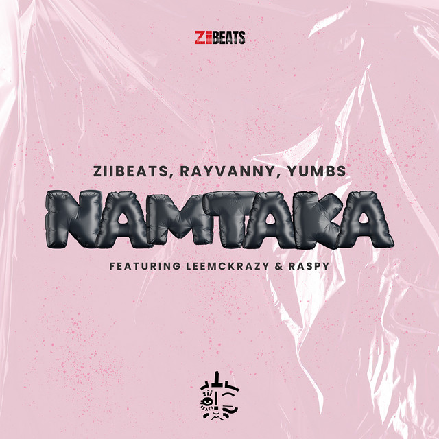 'Namtaka (feat. LeeMcKrazy & Raspy)' cover art