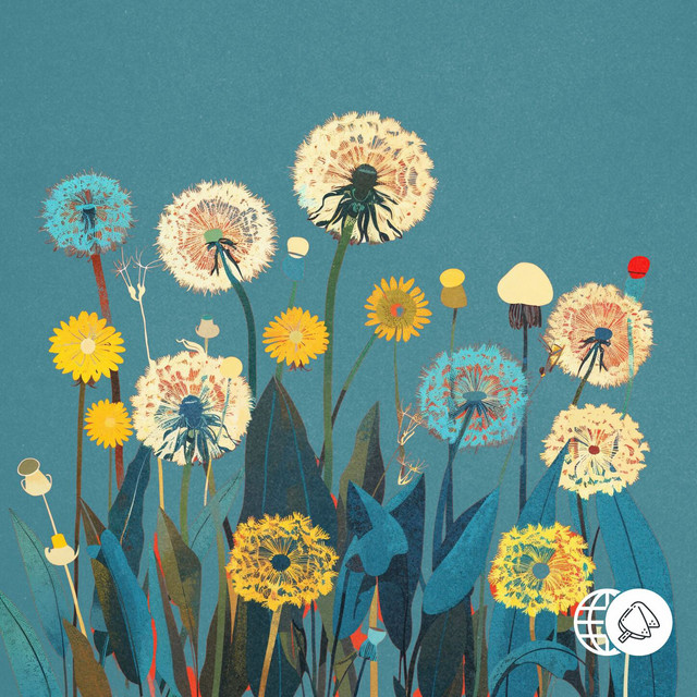 'Dandelions' cover art