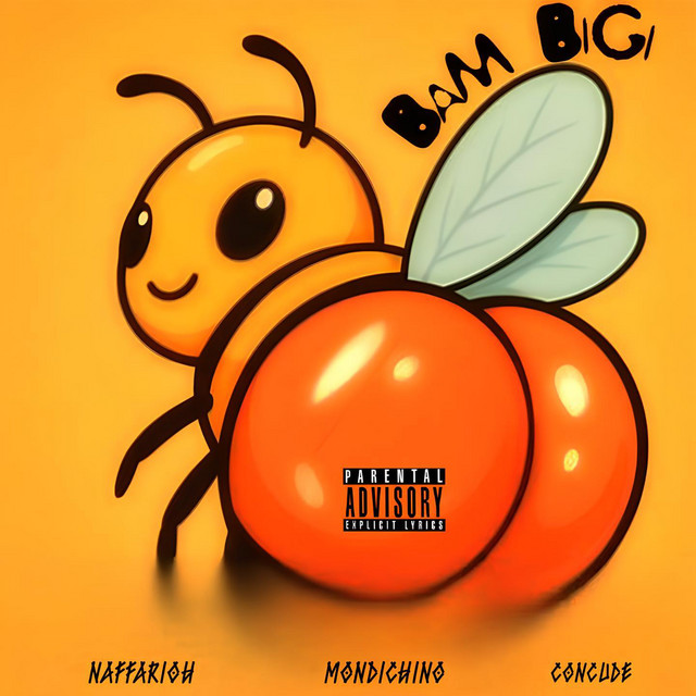 'Bam Bigi' cover art