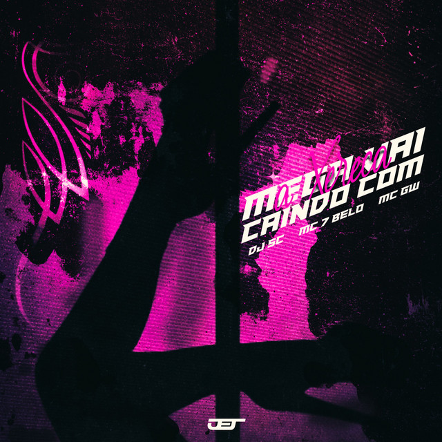 'MEGA VAI CAINDO COM A XERECA' cover art