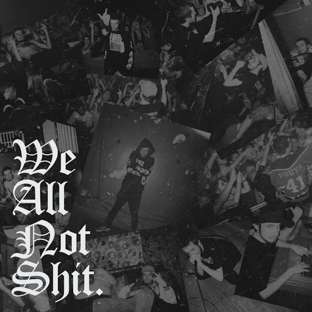 'We All Not Shit' cover art