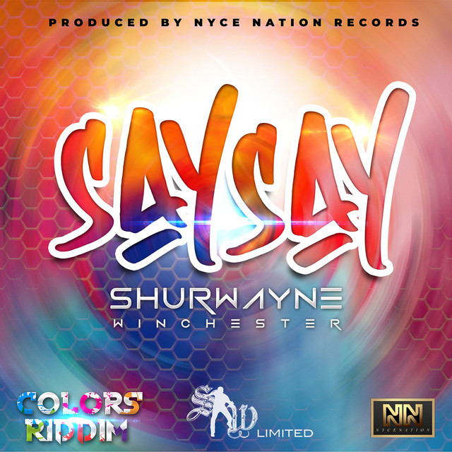 'Say Say' cover art