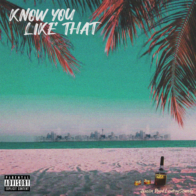 'Know You Like That (Lowkeysounds)' cover art
