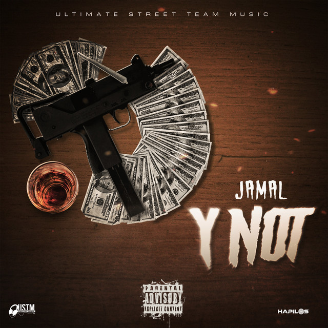 'Y Not' cover art