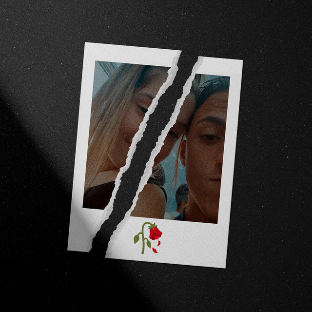 'Rosas Frias no Mundo Cinza' cover art