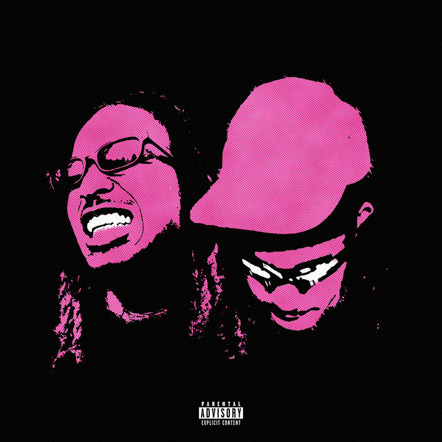 'pink dreads' cover art