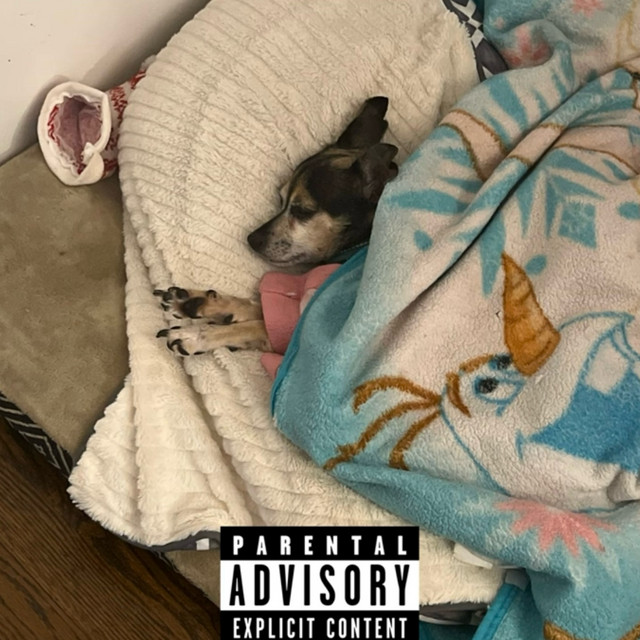 'LOL' cover art