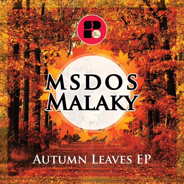 MSDOS - Official Artist Photo