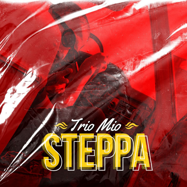 'Steppa' cover art