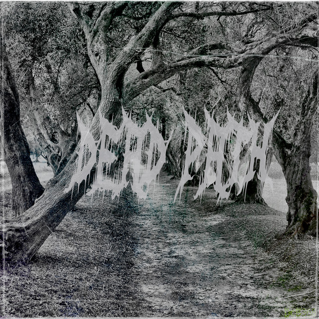 'Dead Path' cover art