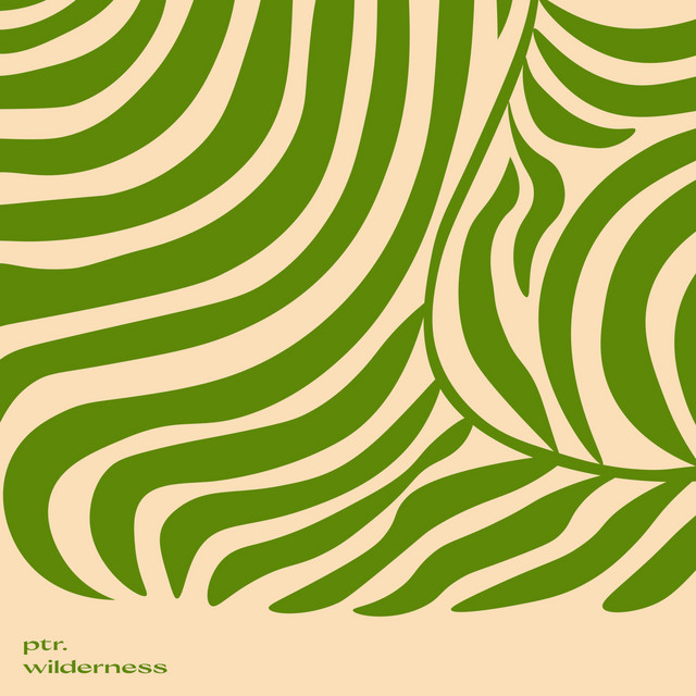 'Wilderness' cover art