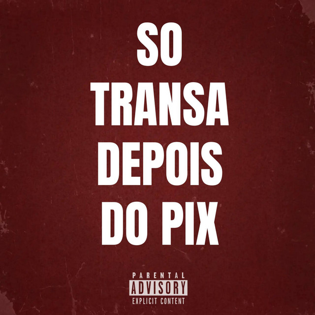 'SO TRANSA DEPOIS DO PIX' cover art