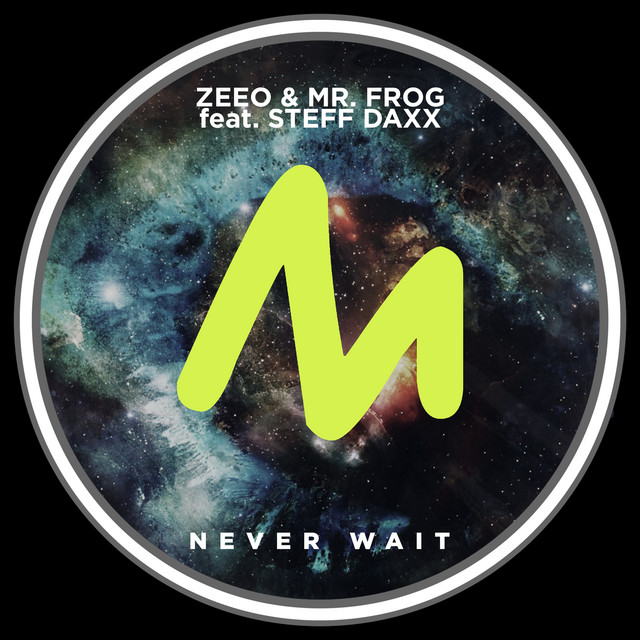 'Never Wait (Extended Mix)' cover art