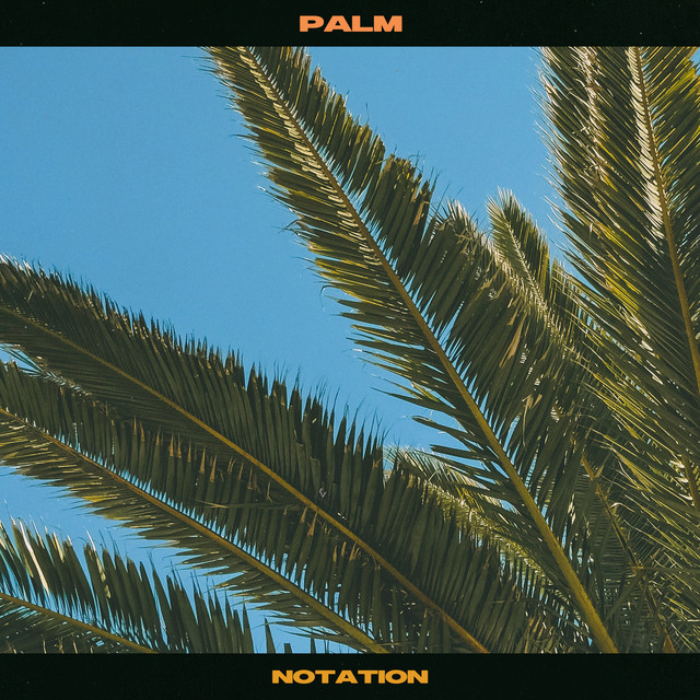 'Palm' cover art