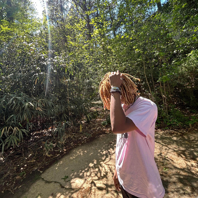 'What's the plan (Remix)' cover art