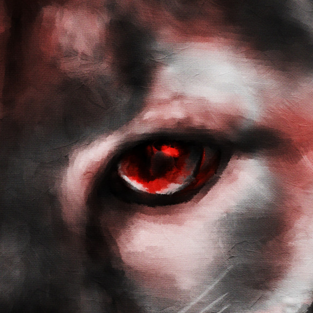 'Cougar' cover art