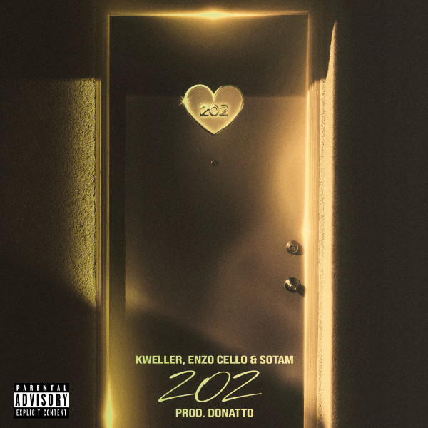 '202 (Remix)' cover art