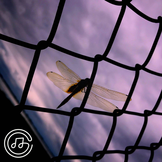 'Dragonfly' cover art