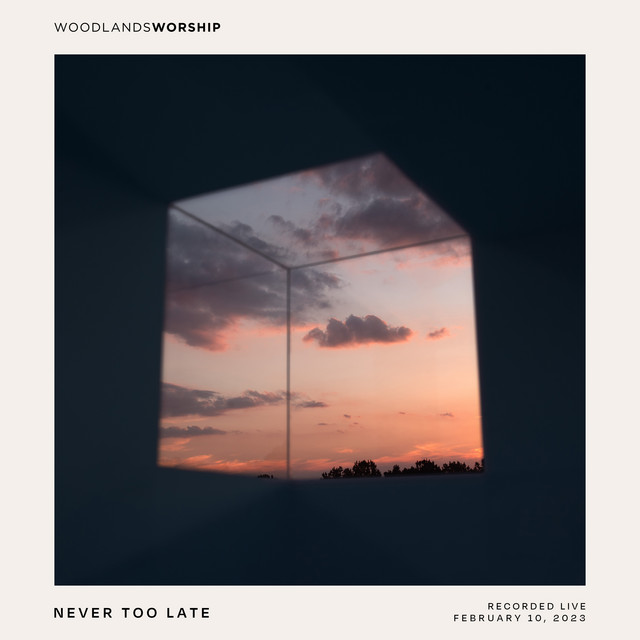 'Never Too Late (Live)' cover art