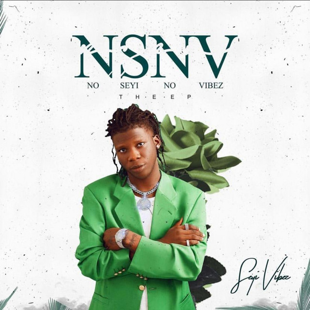 'NSNV' cover art