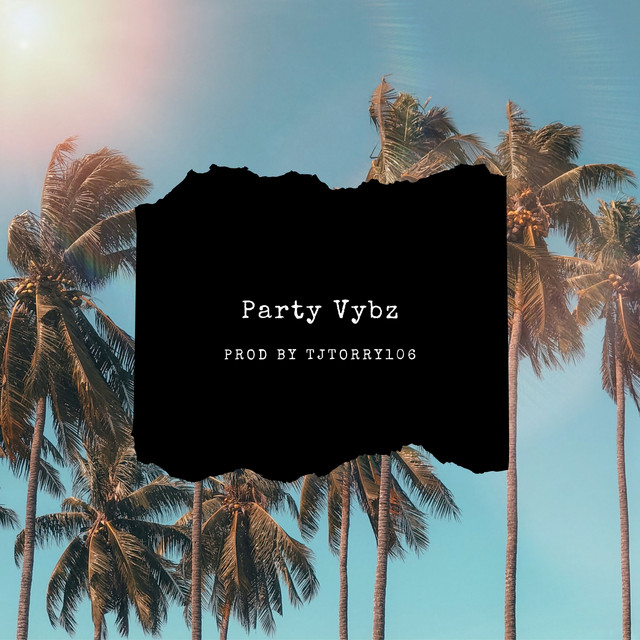 'Party Vybz' cover art