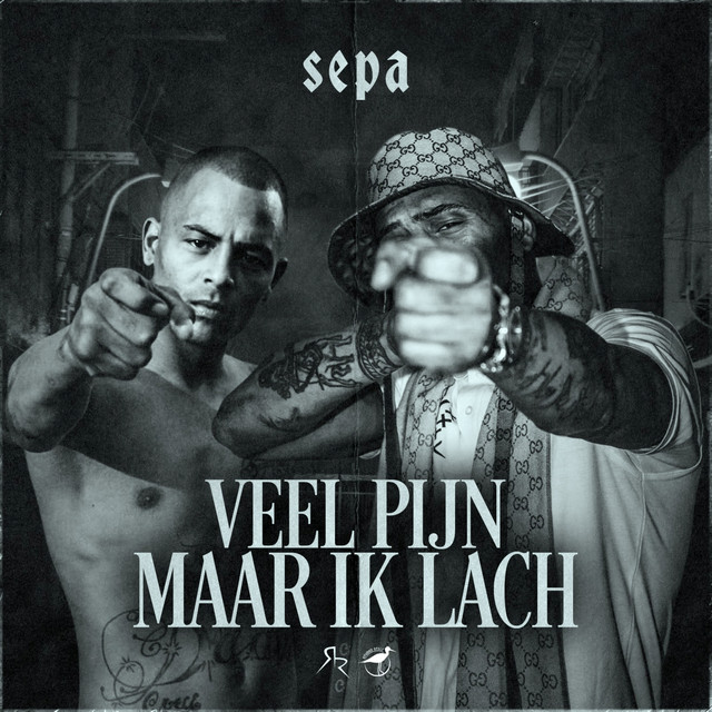 'Veel Pijn Maar Ik Lach' cover art