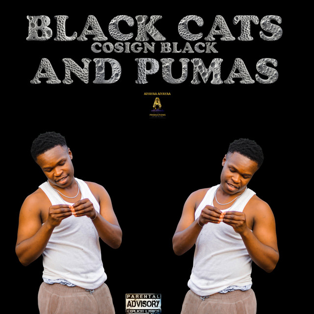 'Black Cats & Pumas' cover art