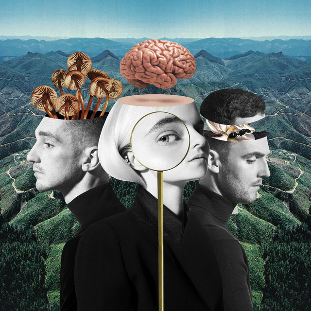 'What Is Love? (Deluxe Edition)' cover art