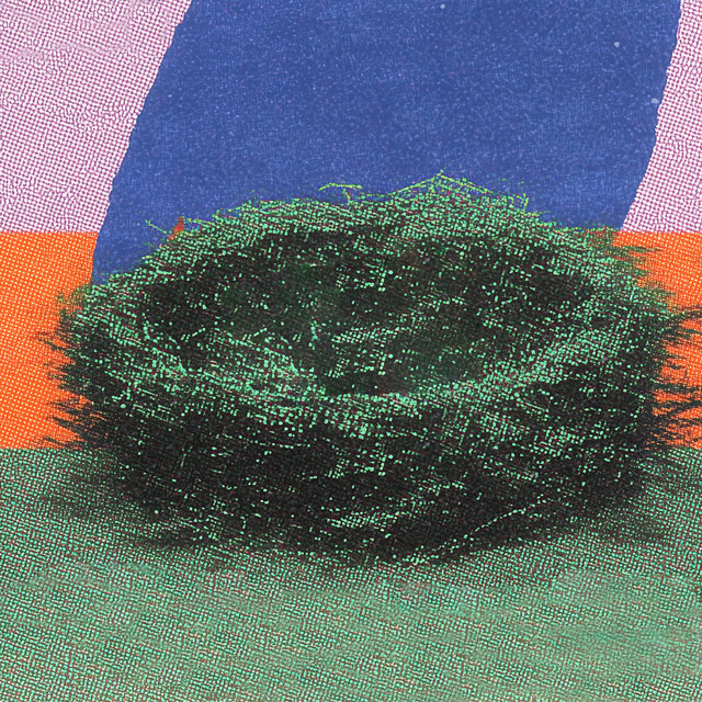 'nest' cover art