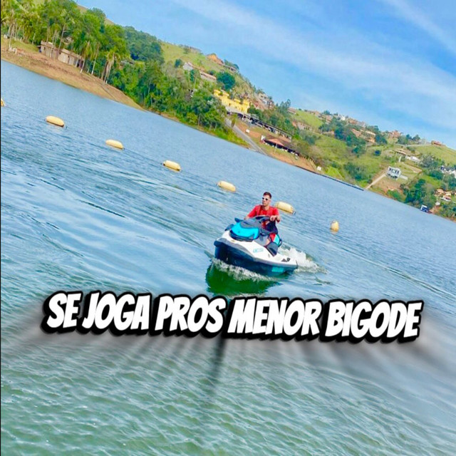 'Se Joga Pros Menor Bigode' cover art