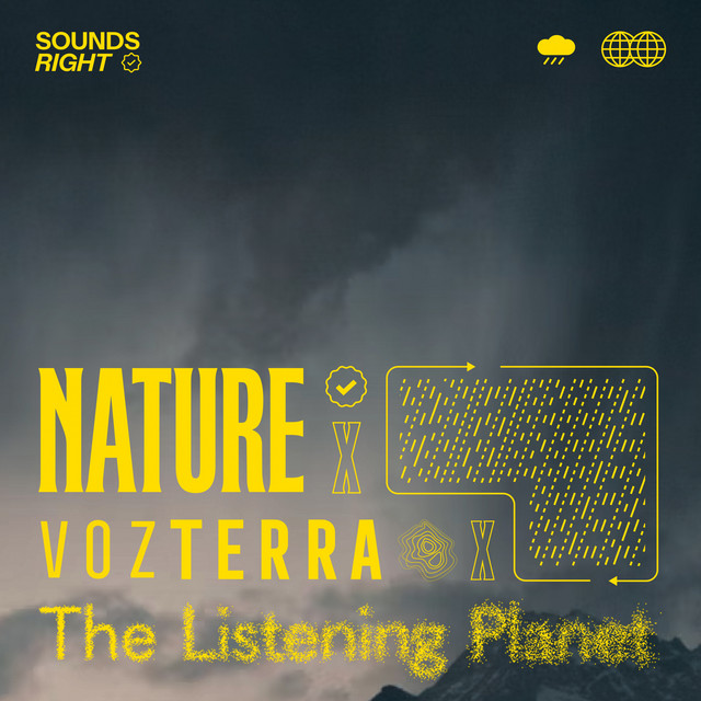 'Rain Sounds Symphony' cover art