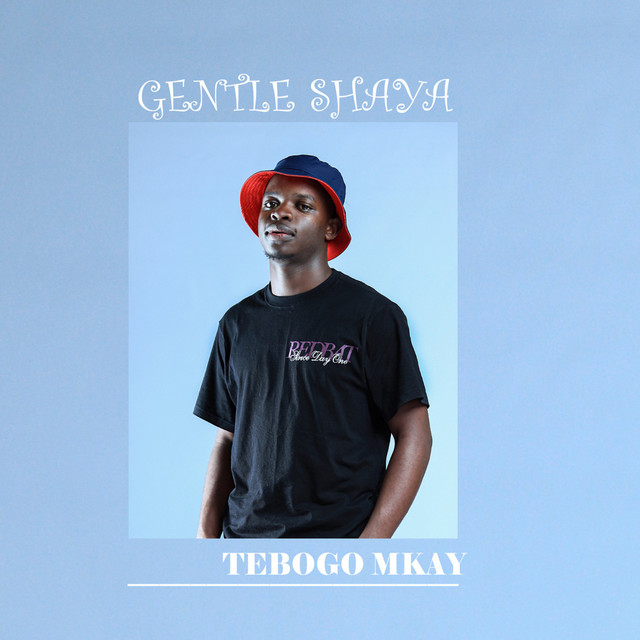 'Gentle Shaya' cover art