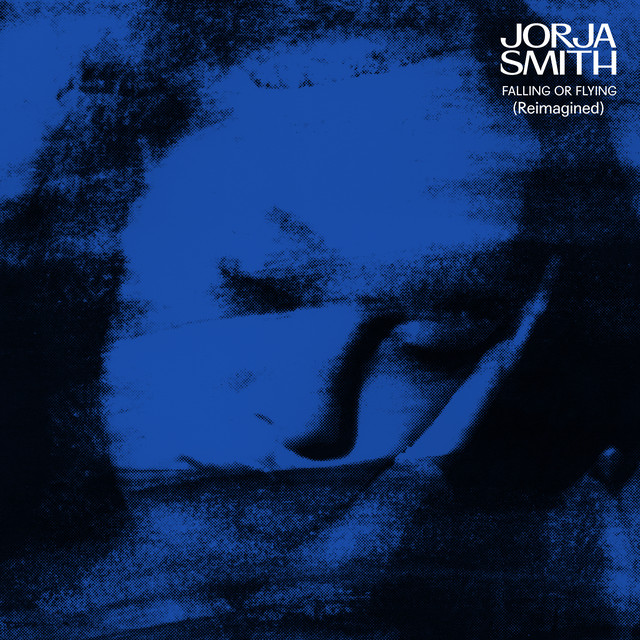 'falling or flying (Reimagined)' cover art