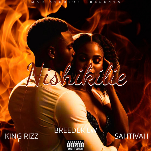 'Nishikilie' cover art