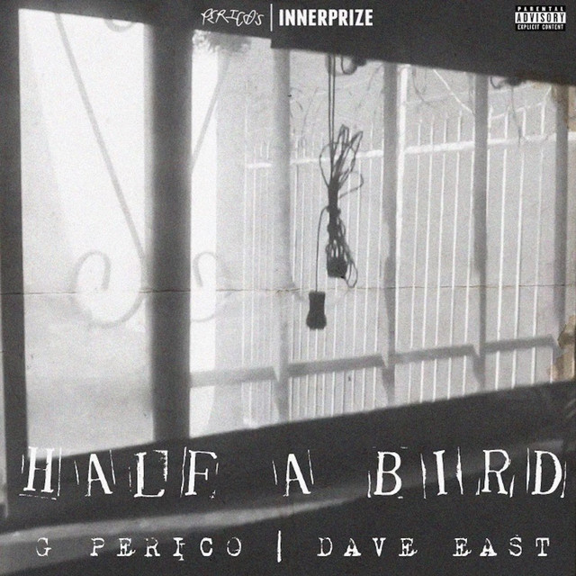 'Half A Bird' cover art