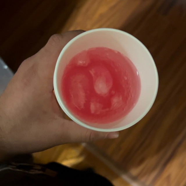 'snowbunny cup' cover art