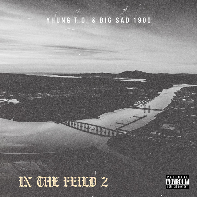 'In The Field 2' cover art