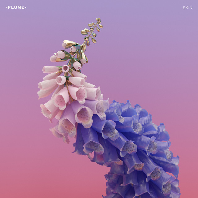 'Skin' cover art
