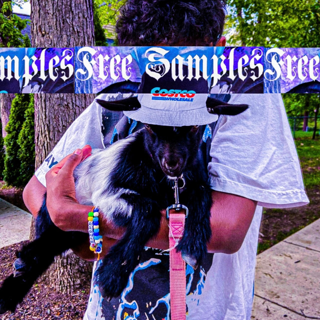 'Free Samples' cover art
