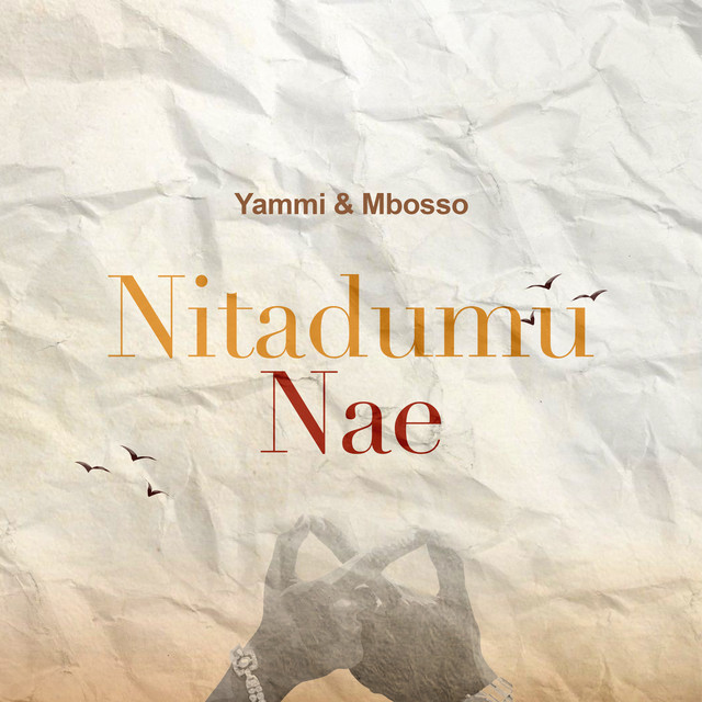 'Nitadumu Nae' cover art