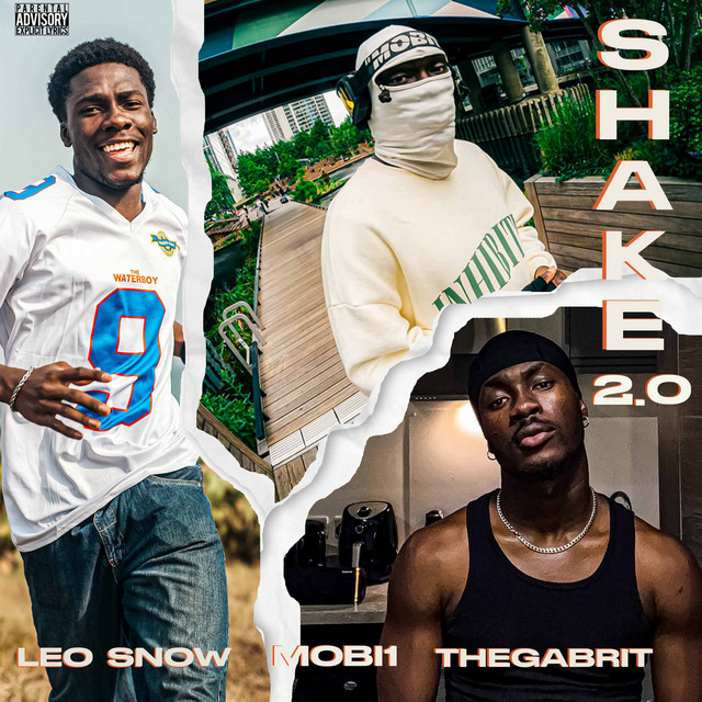 'Shake 2.0' cover art