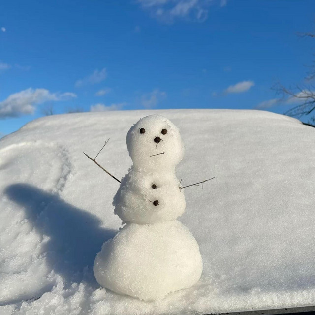 'Snow Days' cover art
