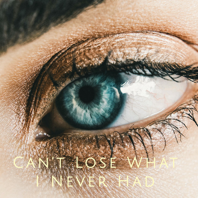 'Cant Lose What I Never Had' cover art