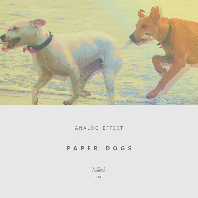 'Paper Dogs' cover art