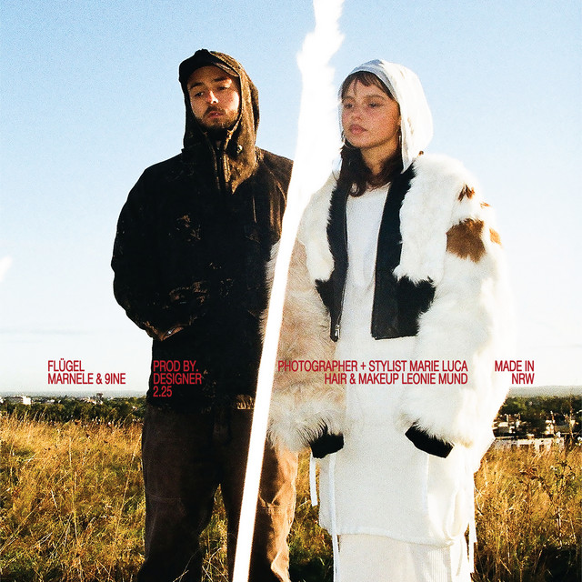 'Flügel' cover art