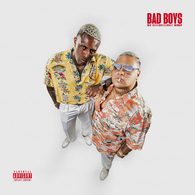 'Bad Boys' cover art
